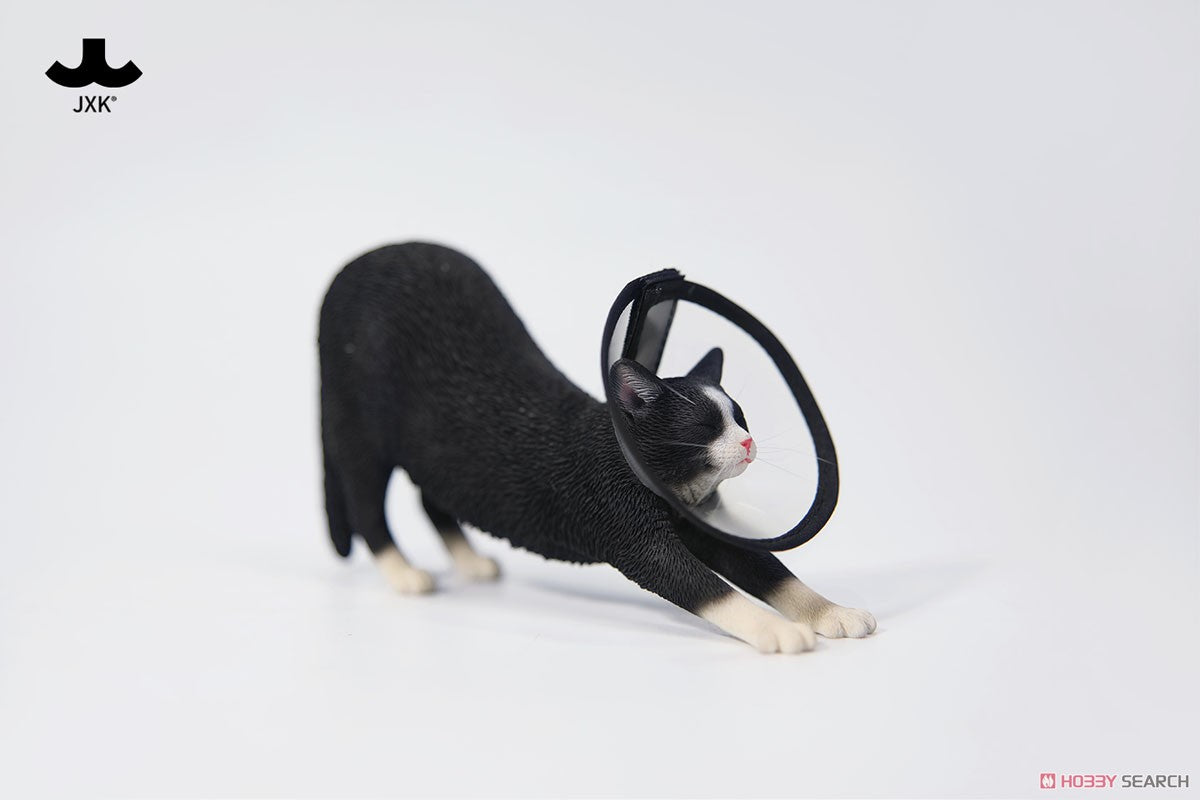 JxK.Studio - JxK180A - Stretching Cat (1/6 Scale) - Marvelous Toys