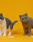 JxK.Studio - JxK198C - Rebellious Cat (1/6 Scale) - Marvelous Toys