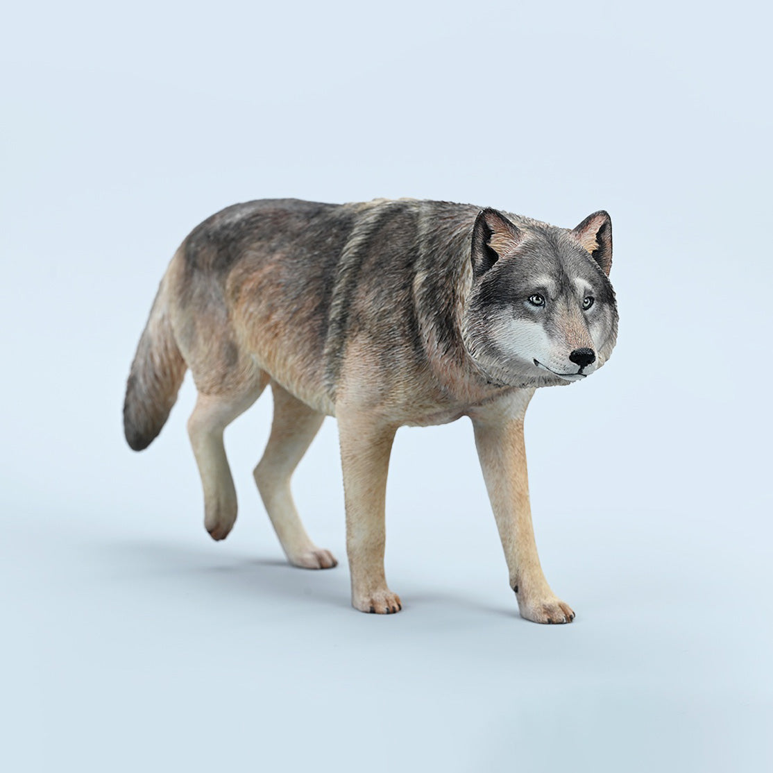JxK.Studio - JXK223A1 - Common Gray Wolf (1/6 Scale)