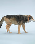 JxK.Studio - JXK223A2 - Common Gray Wolf (1/6 Scale)