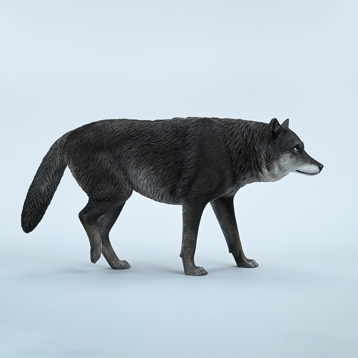 JxK.Studio - JXK223A4 - Common Gray Wolf (1/6 Scale)