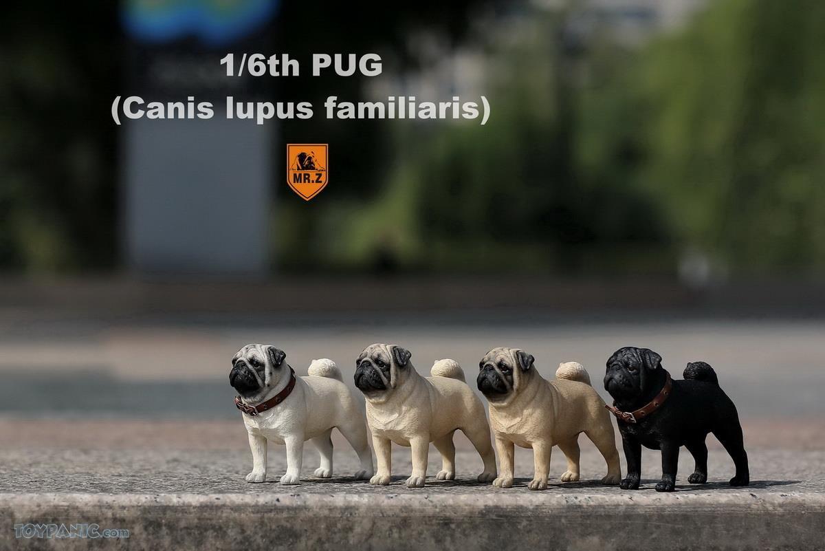 Mr. Z - Real Animal Series No. 18 - Pug 002 (Beige) (1/6 Scale) - Marvelous Toys