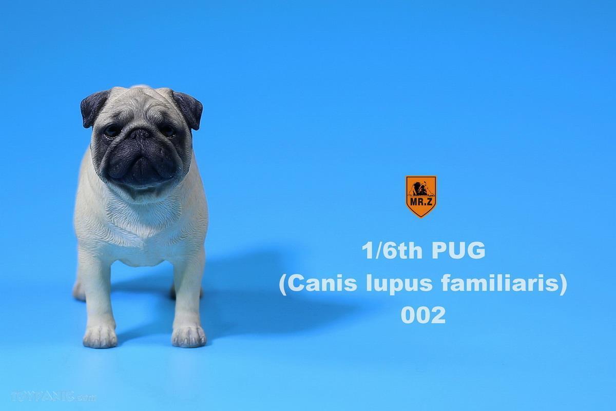 Mr. Z - Real Animal Series No. 18 - Pug 002 (Beige) (1/6 Scale) - Marvelous Toys