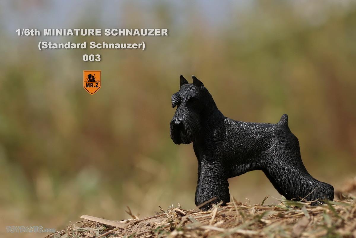 Mr. Z - Real Animal Series No. 19 - Miniature Schnauzer 003 (Black) (1/6 Scale) - Marvelous Toys