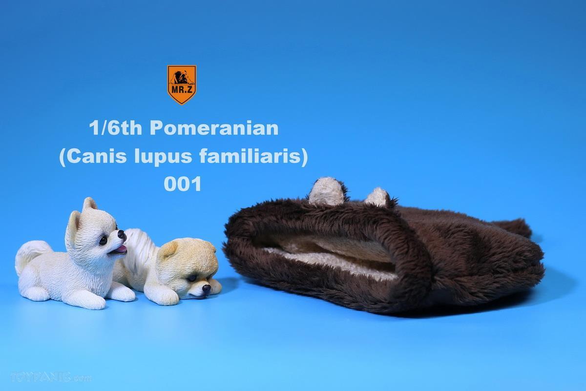 Mr. Z - Real Animal Series No. 20 - Pomeranian Puppies Set of 2 001 (Beige) (1/6 Scale) - Marvelous Toys