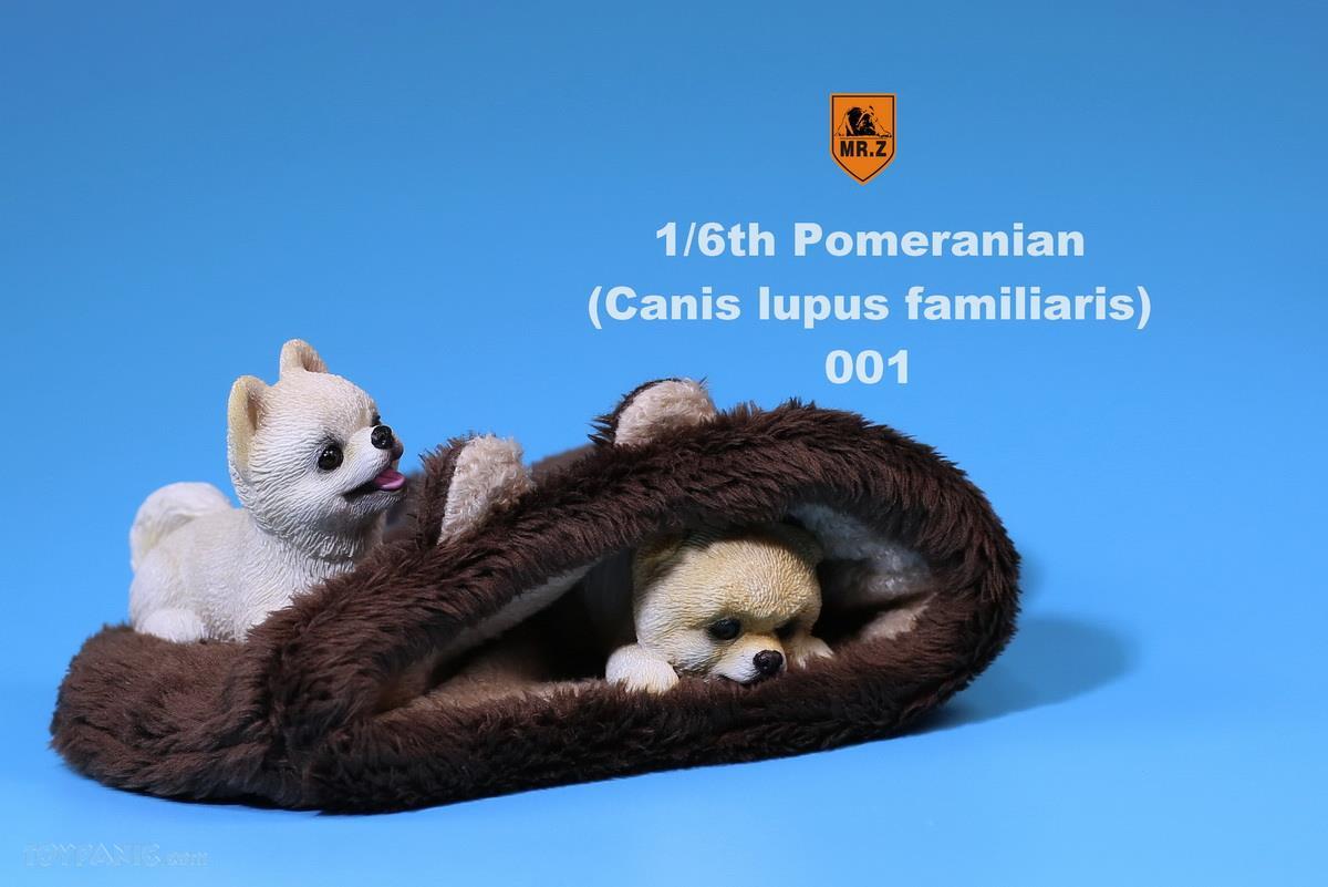 Mr. Z - Real Animal Series No. 20 - Pomeranian Puppies Set of 2 001 (Beige) (1/6 Scale) - Marvelous Toys