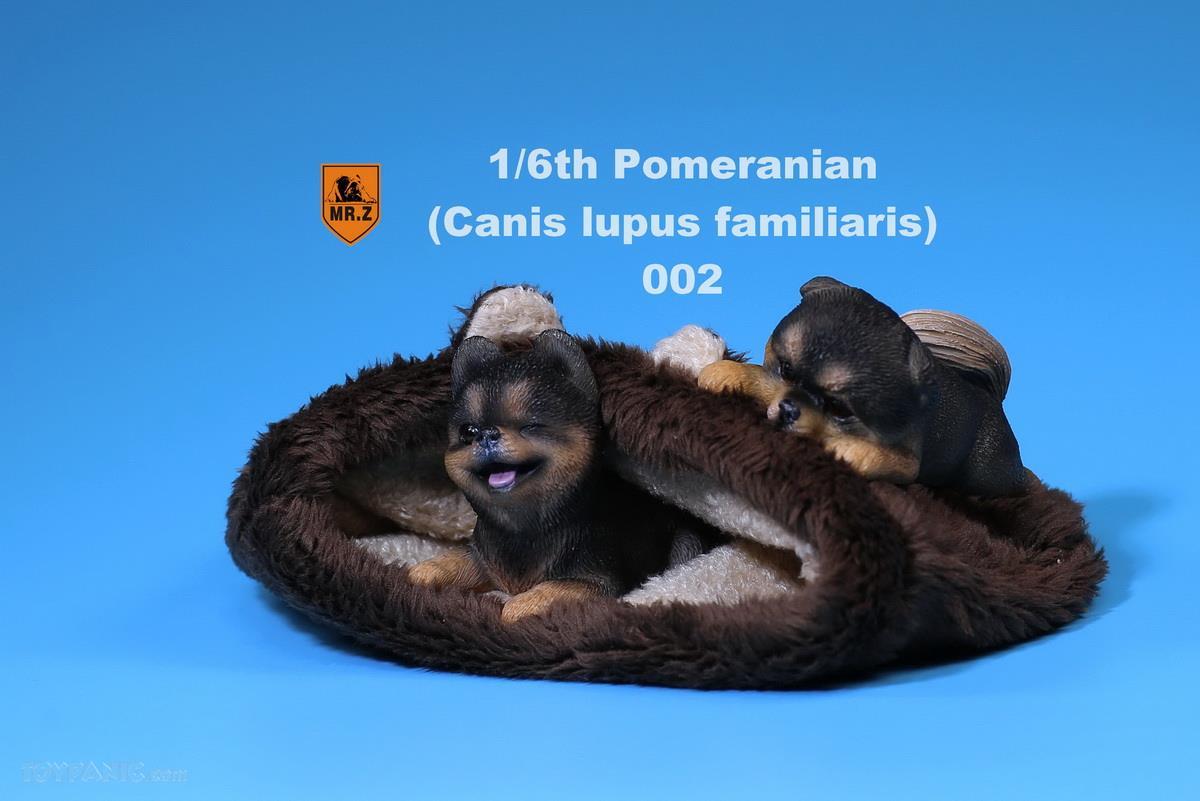 Mr. Z - Real Animal Series No. 20 - Pomeranian Puppies Set of 2 002 (Black Brown) (1/6 Scale) - Marvelous Toys