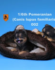 Mr. Z - Real Animal Series No. 20 - Pomeranian Puppies Set of 2 002 (Black Brown) (1/6 Scale) - Marvelous Toys