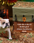 Mr. Z - Real Animal Series No. 21 - British Bulldog 4.0 004a+b (1/6 Scale) - Marvelous Toys