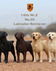 Mr. Z - Real Animal Series No. 25 - Labrador Retriever 002 (1/6 Scale) - Marvelous Toys