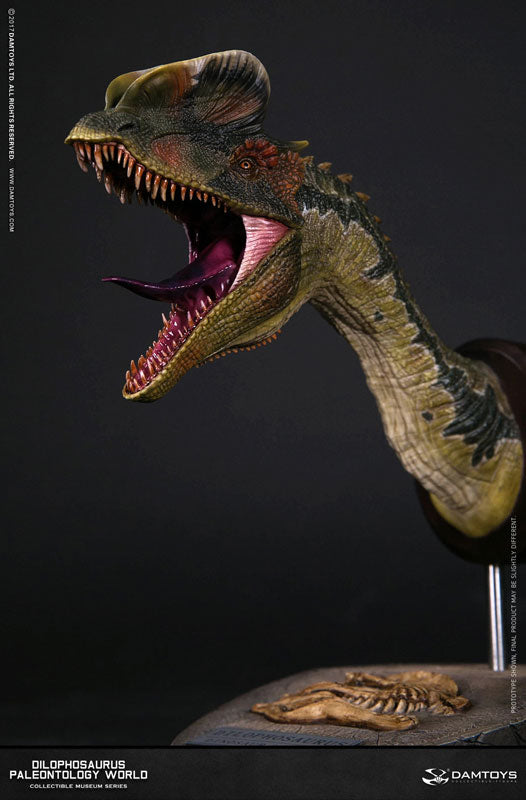 Damtoys - Collectible Museum Series - Paleontology World - Dilophosaurus Bust (MUS002B) - Marvelous Toys