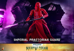 Hot Toys - TMS108 - Star Wars: The Mandalorian - Imperial Praetorian Guard
