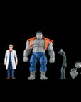 Hasbro - Marvel Legends - Avengers 60th Anniversary - Gray Hulk & Dr. Bruce Banner - Marvelous Toys