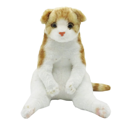 Lead Inc. - Seating Zoo - Scottish Fold Cat - Marvelous Toys