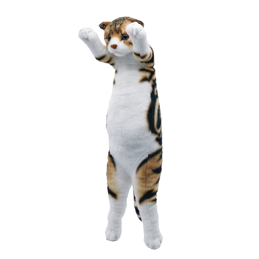 Lead Inc. - Standing Zoo - Scottish Fold Cat