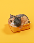 JxK.Studio - JS2308D - The Cat in The Delivery Box 4.0 (1/6 Scale) - Marvelous Toys