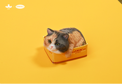 JxK.Studio - JS2308D - The Cat in The Delivery Box 4.0 (1/6 Scale)