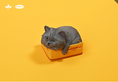 JxK.Studio - JS2308C - The Cat in The Delivery Box 4.0 (1/6 Scale)