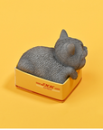 JxK.Studio - JS2308C - The Cat in The Delivery Box 4.0 (1/6 Scale) - Marvelous Toys