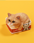 JxK.Studio - JS2308B - The Cat in The Delivery Box 4.0 (1/6 Scale) - Marvelous Toys
