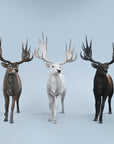 JXK Studio - JXK210A - Reindeer (1/6 Scale) - Marvelous Toys