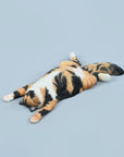 JXK Studio - JXK206A - Cat Lying Down (1/6 Scale) - Marvelous Toys