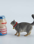 JXK Studio - JXK211A - Somali Cat (1/6 Scale) - Marvelous Toys