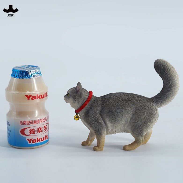 JXK Studio - JXK211C - Somali Cat (1/6 Scale) - Marvelous Toys