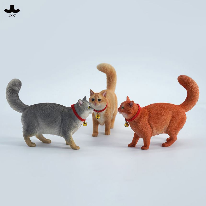 JXK Studio - JXK211D - Somali Cat (1/6 Scale) - Marvelous Toys