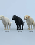 JXK Studio - JXK213C - Fully Focused Labrador (1/6 Scale) - Marvelous Toys