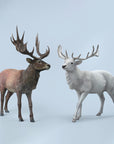 JXK Studio - JXK210B - Reindeer (1/6 Scale) - Marvelous Toys
