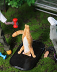 JxK.Studio - Yoga Cat B (1/6 Scale) - Marvelous Toys