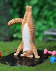 JxK.Studio - Yoga Cat C (1/6 Scale) - Marvelous Toys