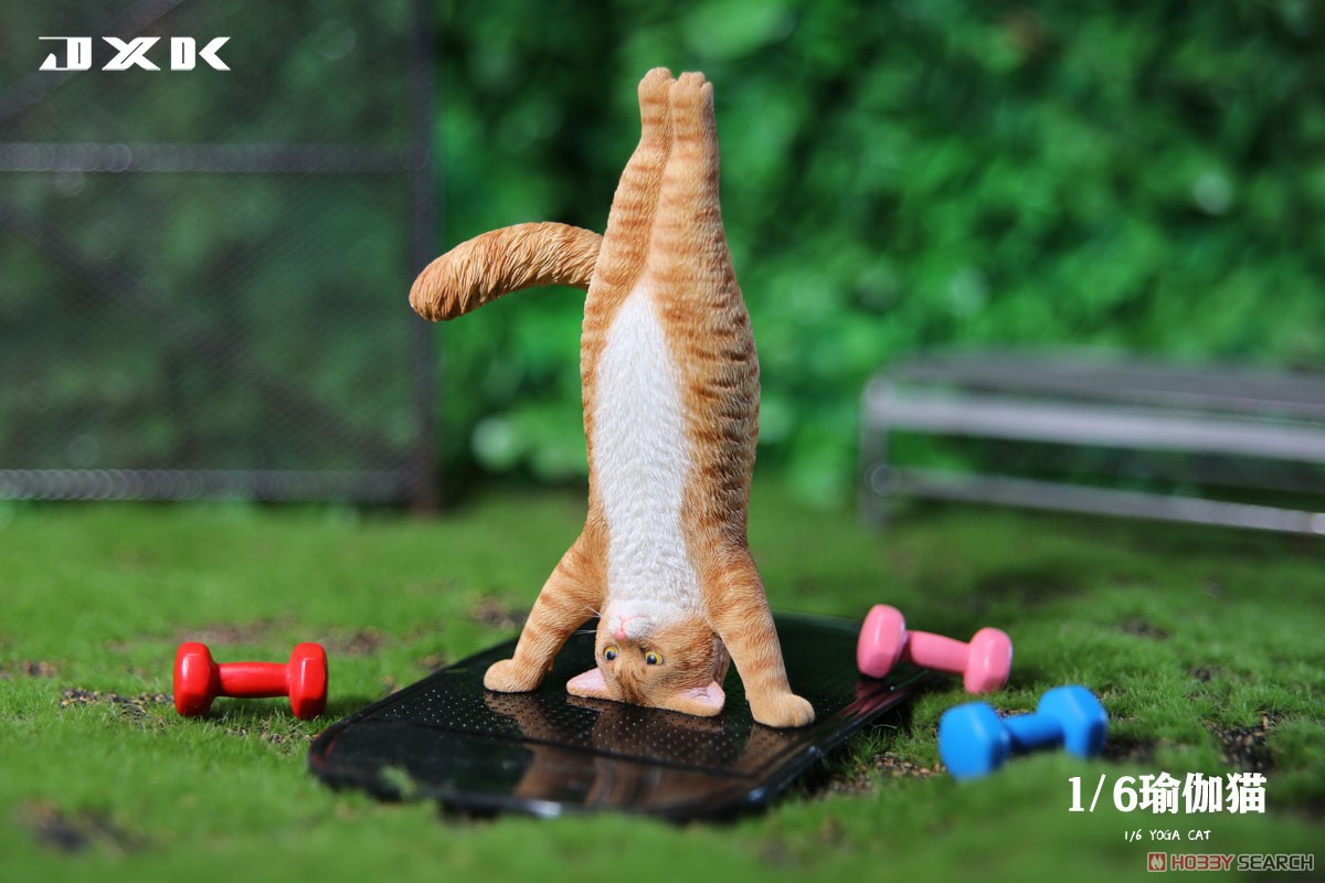 JxK.Studio - Yoga Cat D (1/6 Scale) - Marvelous Toys