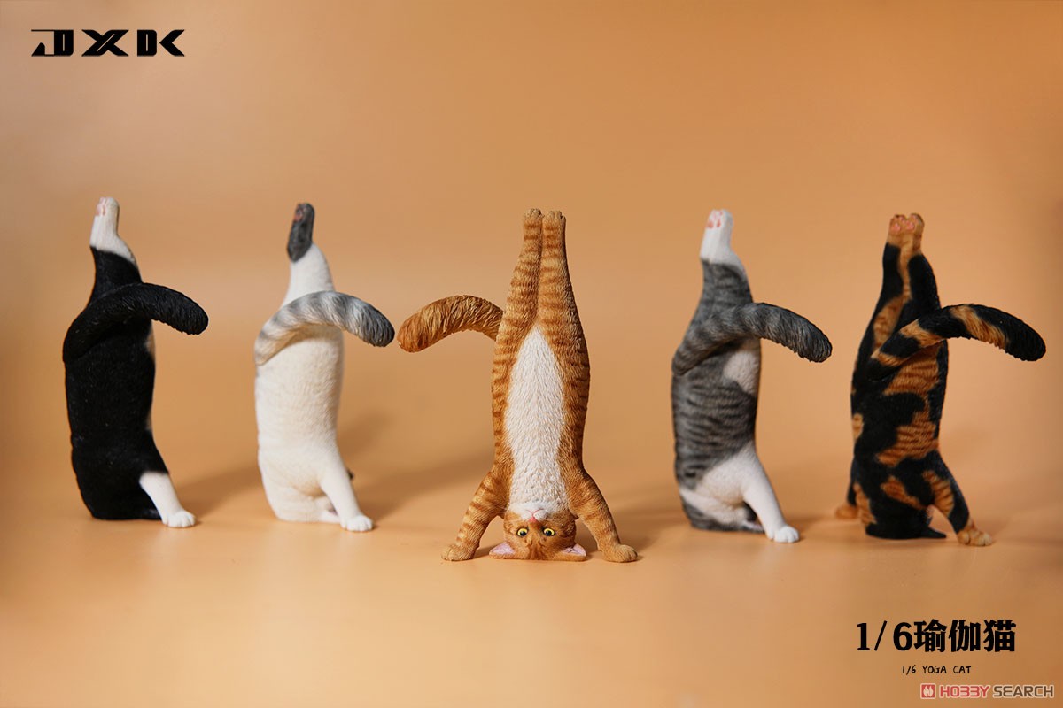 JxK.Studio - Yoga Cat E (1/6 Scale) - Marvelous Toys