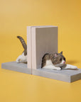 JxK.Studio - Cat through the Wall D (1/6 Scale) - Marvelous Toys