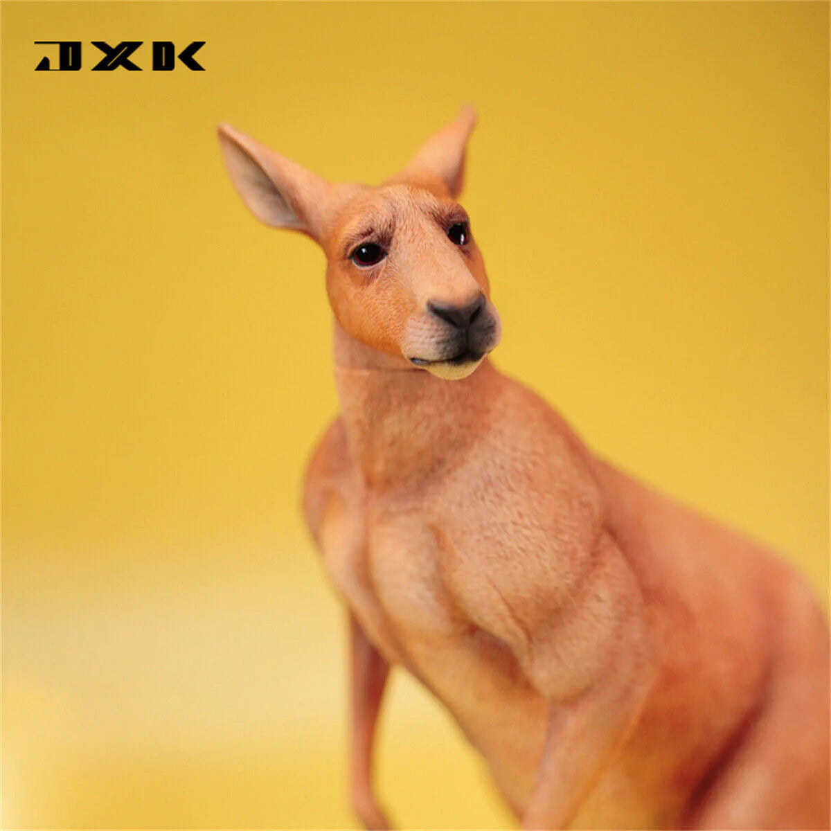JxK.Studio - Kangaroo (1/6 Scale) - Marvelous Toys