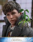 Hot Toys - MMS512 - Fantastic Beasts: The Crimes of Grindelwald - Newt Scamander - Marvelous Toys