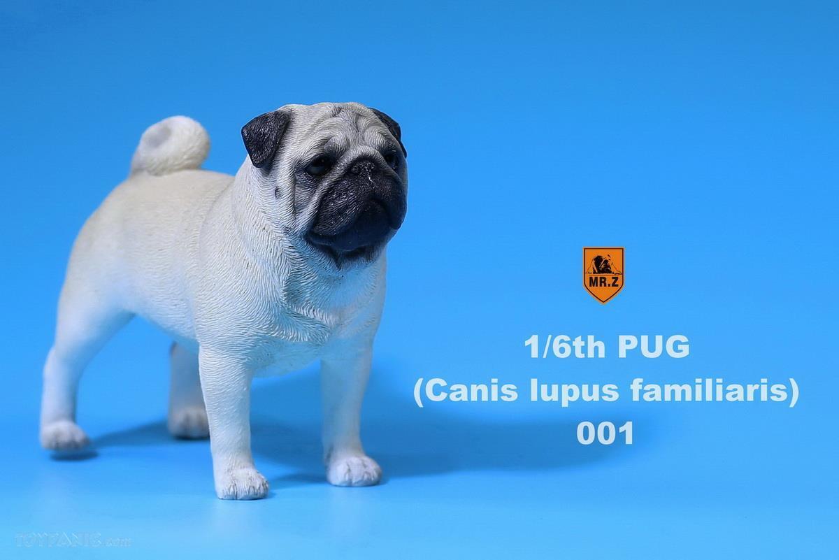 Mr. Z - Real Animal Series No. 18 - Pug 001 (White) (1/6 Scale) - Marvelous Toys