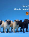 Mr. Z - Real Animal Series No. 18 - Pug 003 (Cream) (1/6 Scale) - Marvelous Toys