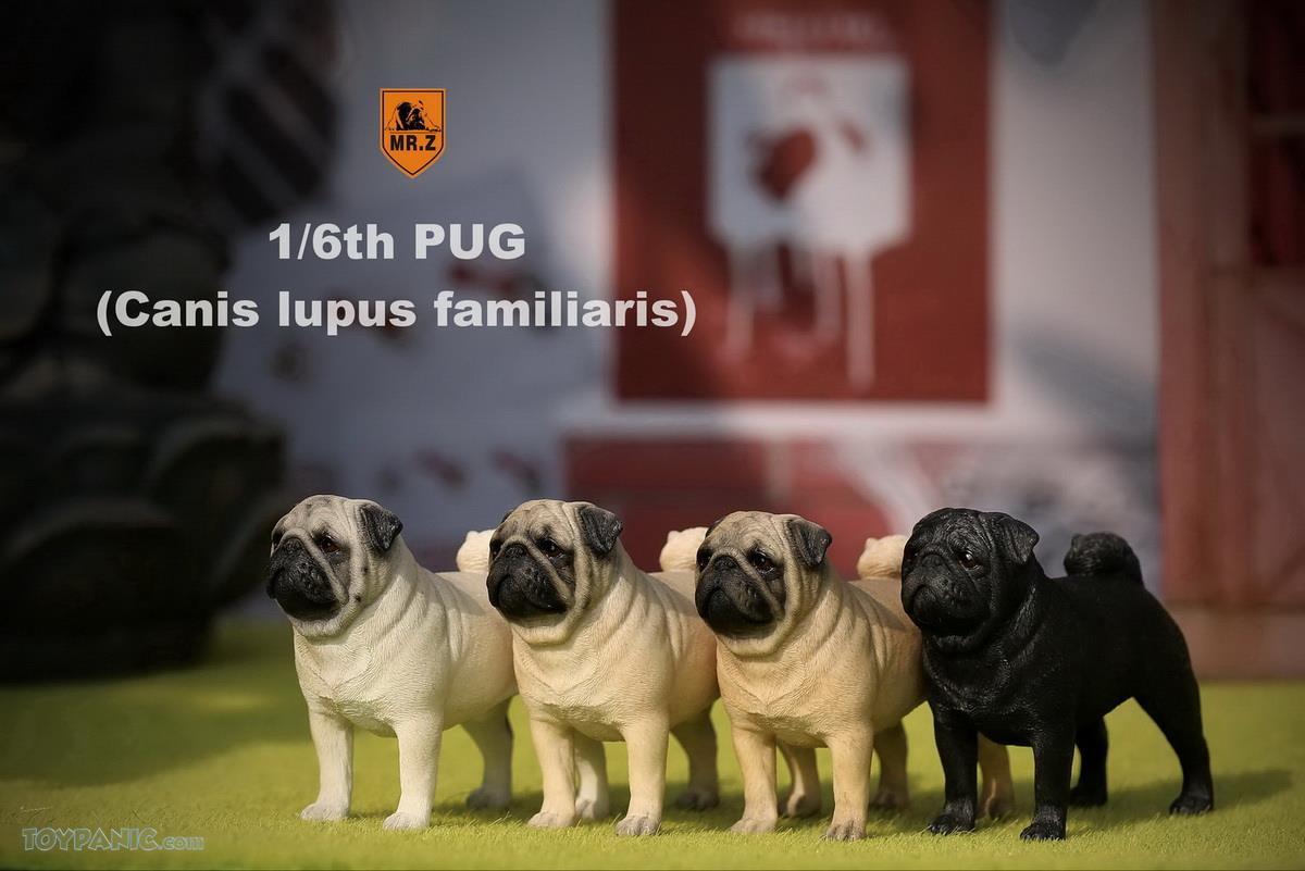 Mr. Z - Real Animal Series No. 18 - Pug 004 (Black) (1/6 Scale) - Marvelous Toys