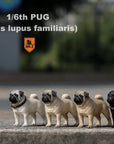 Mr. Z - Real Animal Series No. 18 - Pug 001 (White) (1/6 Scale) - Marvelous Toys