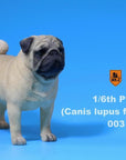 Mr. Z - Real Animal Series No. 18 - Pug 003 (Cream) (1/6 Scale) - Marvelous Toys