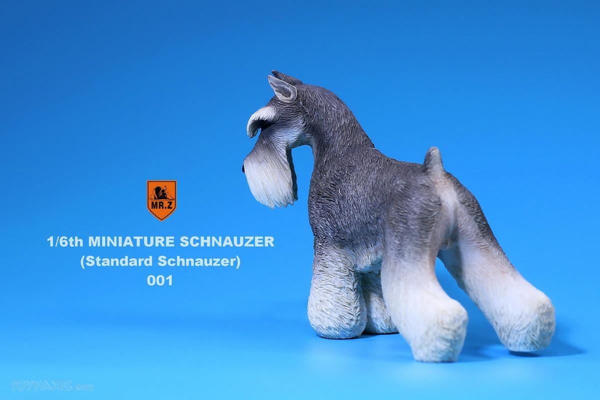 Mr. Z - Real Animal Series No. 19 - Miniature Schnauzer 001 (Grey Black) (1/6 Scale)