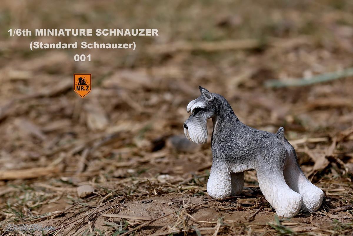 Mr. Z - Real Animal Series No. 19 - Miniature Schnauzer 001 (Grey Black) (1/6 Scale) - Marvelous Toys