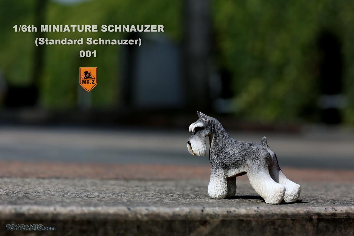 Mr. Z - Real Animal Series No. 19 - Miniature Schnauzer 001 (Grey Black) (1/6 Scale) - Marvelous Toys