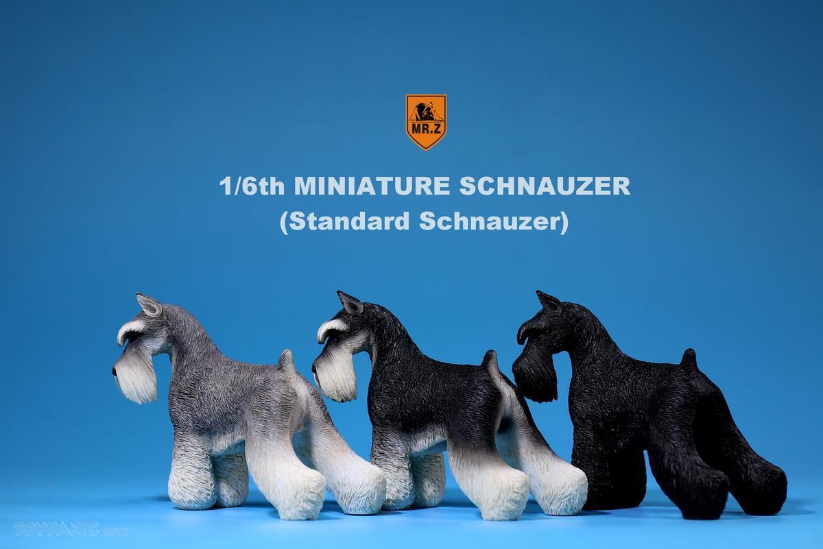 Mr. Z - Real Animal Series No. 19 - Miniature Schnauzer 002 (Black White) (1/6 Scale) - Marvelous Toys