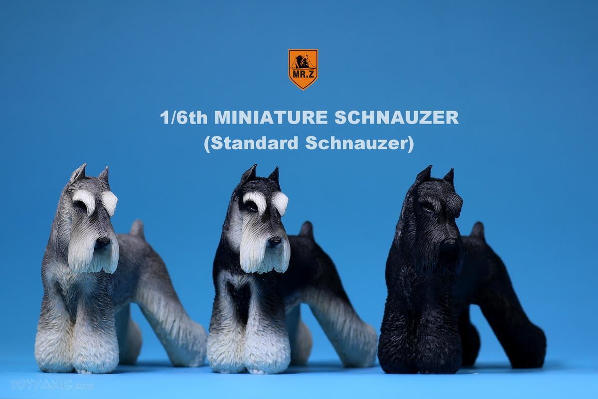 Mr. Z - Real Animal Series No. 19 - Miniature Schnauzer 002 (Black White) (1/6 Scale) - Marvelous Toys