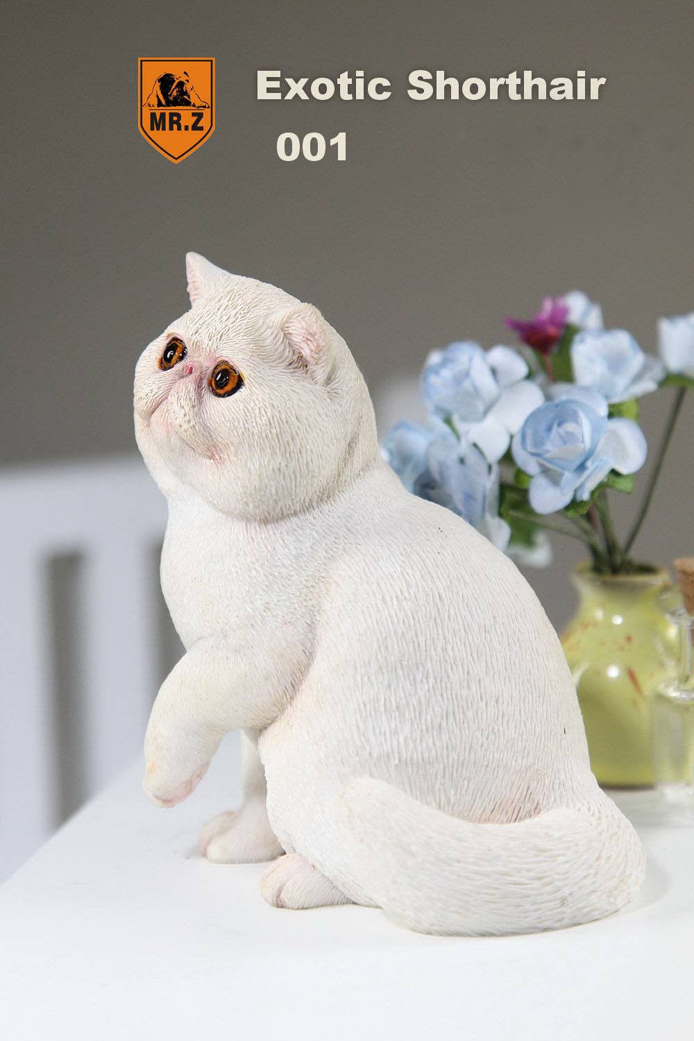 MR.Z - Real Animal Series No.8 - 1/6th Scale Exotic Shorthair Cat (Garfield) 001-005 - Marvelous Toys
