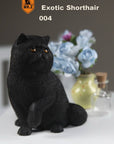 MR.Z - Real Animal Series No.8 - 1/6th Scale Exotic Shorthair Cat (Garfield) 001-005 - Marvelous Toys